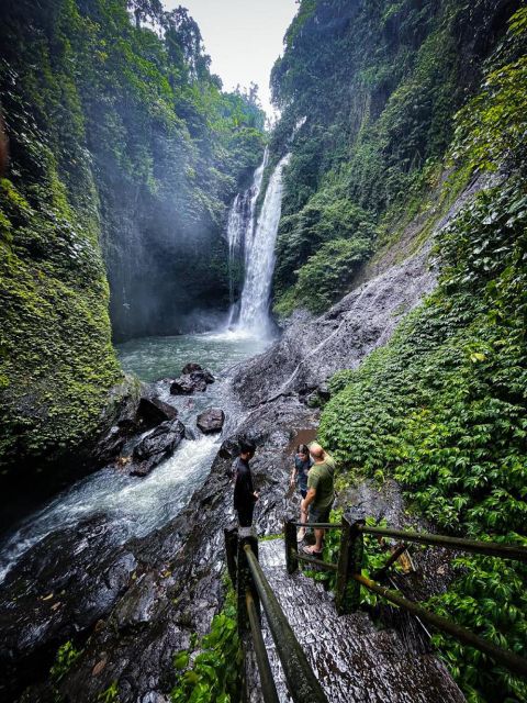 Lovina Bali: Dolphin, Snorkeling & Waterfalls Fun Activities - Customer Feedback