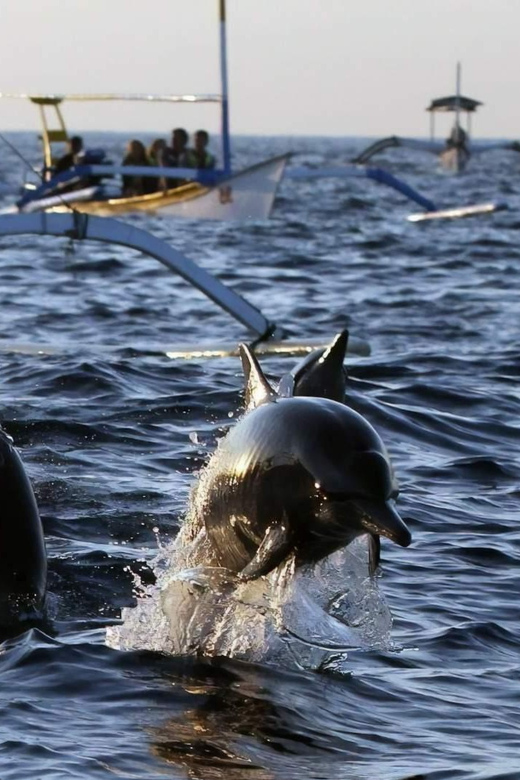 Lovina-Bali: Dolphin Watching & Snorkeling; Hot Spring - Inclusions and Optional Activities