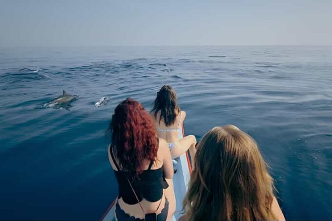 Lovina-Bali: Dolphin Watching & Snorkeling; Hot Spring - Frequently Asked Questions
