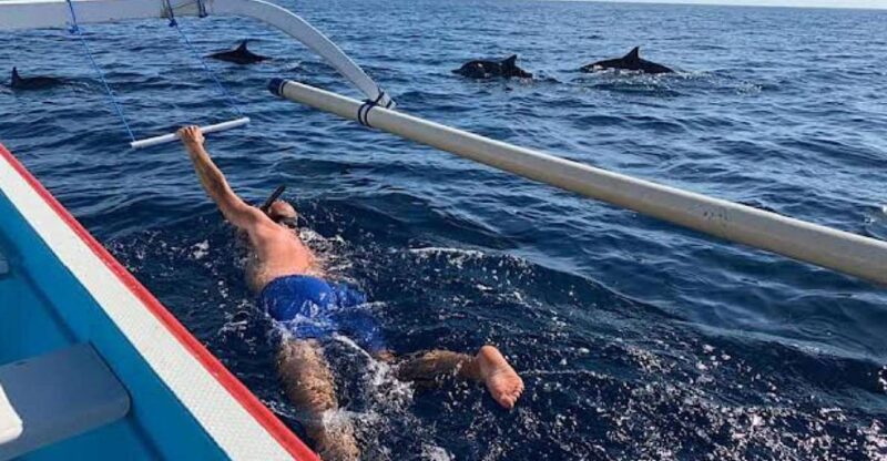 Lovina/Bali: Dolphin Watching, Swimming, and Snorkeling Tour - Itinerary and Highlights