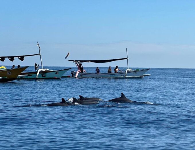 Lovina/Bali: Dolphin Watching, Swimming, and Snorkeling Tour - Booking and Confirmation