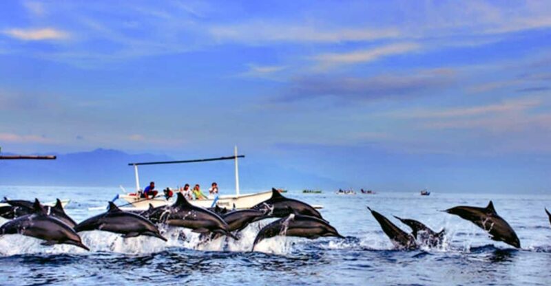 Lovina Bali: Dolphin Watching, Waterfall and Local Lunch - Itinerary Highlights