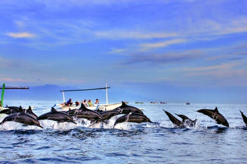 Lovina Bali: Dolphin Watching, Waterfall and Local Lunch - Dolphin Watching at Lovina Beach