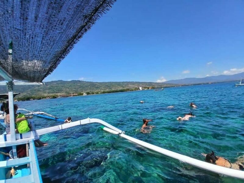 Lovina/BALI : SPECIAL Dolphin Watching,Swimming,Snorkeling - Key Points