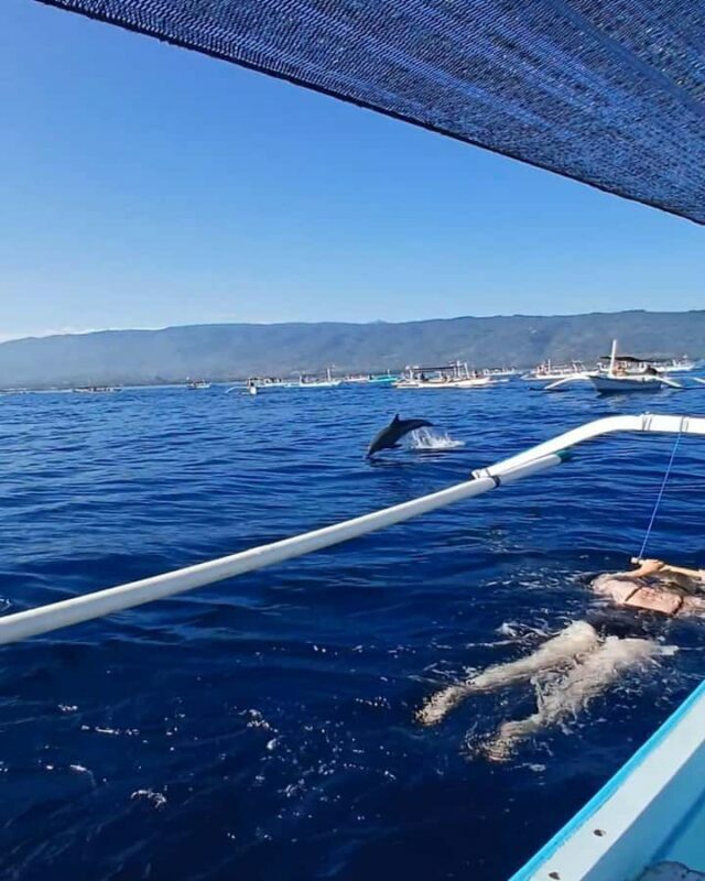 Lovina/BALI : SPECIAL Dolphin Watching,Swimming,Snorkeling - Introduction