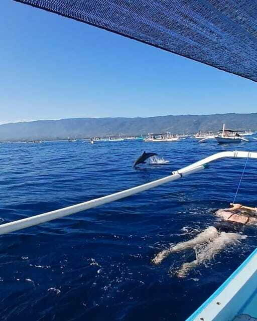 Lovina/BALI : SPECIAL Dolphin Watching,Swimming,Snorkeling - Analyzing Value and Pricing