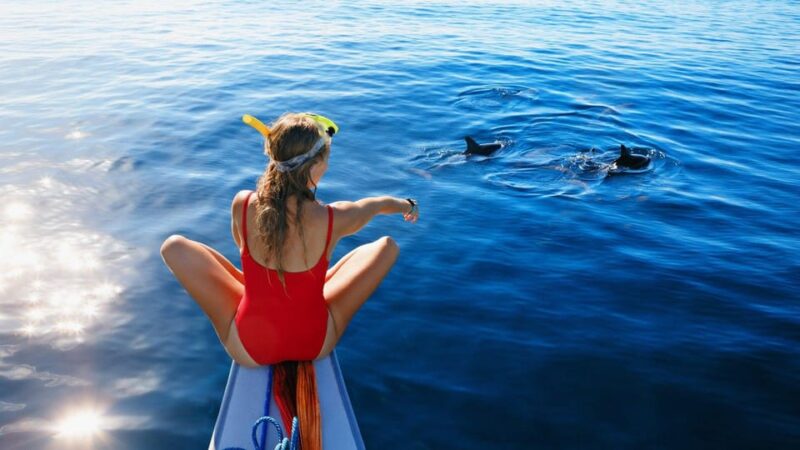 Lovina Bali: Sunrise Dolphin Watching, Swim, and Snorkeling - Included Amenities
