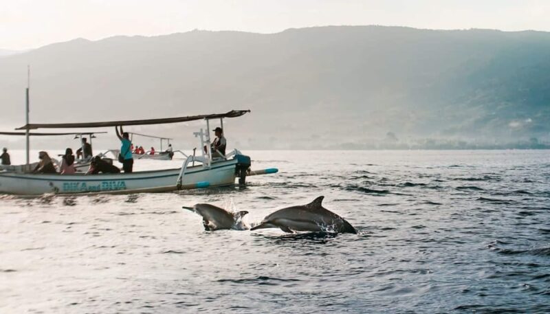 Lovina Bali: Sunrise Dolphin Watching, Swim, and Snorkeling - Participant Information
