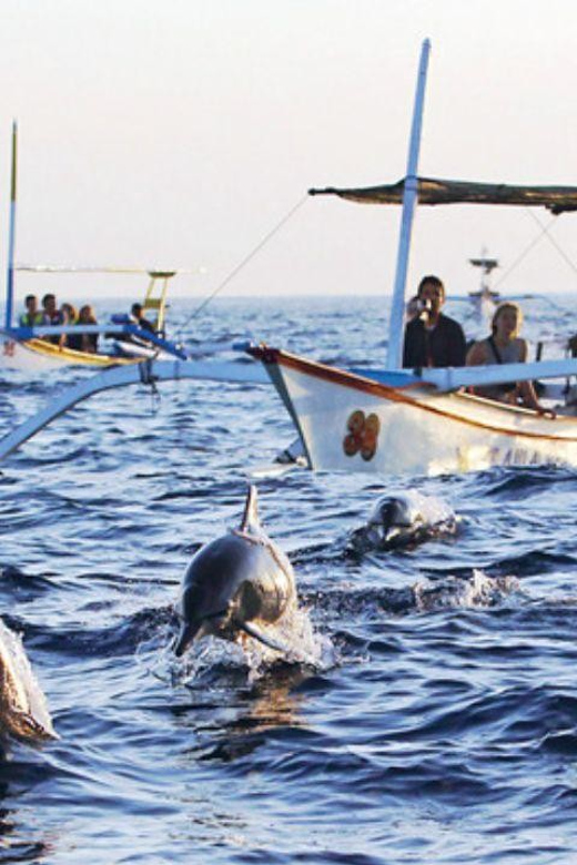 Lovina-Bali: Watching Dolphin & Waterfall Tour-All Inclusive - Key Points