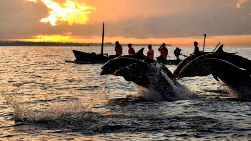 Lovina-Bali: Watching Dolphin & Waterfall Tour-All Inclusive - Itinerary Highlights