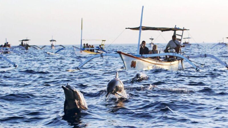 Lovina-Bali: Watching Dolphin & Waterfall Tour-All Inclusive - Lovina Beach