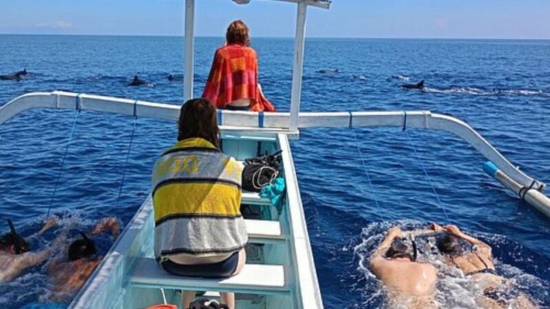 Lovina-Bali: Watching Dolphin & Waterfall Tour-All Inclusive - Included Services