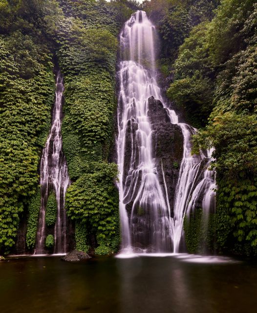 Lovina Dolphin and North Bali Sightseeing - All Inclusive - Inclusions and Exclusions