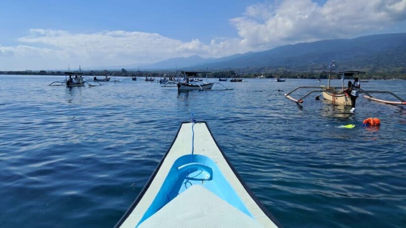 Lovina Dolphin and Snorkeling Tour - Frequently Asked Questions