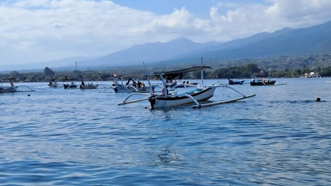 Lovina Dolphin and Snorkeling Tour - Recap