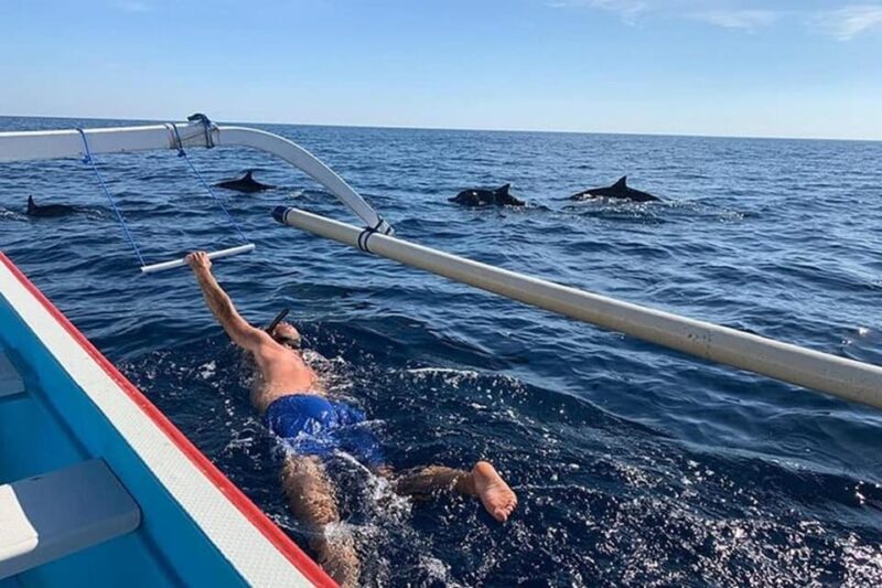 Lovina Dolphin Watching, Snorkeling and Swim With Dolphin - Key Points