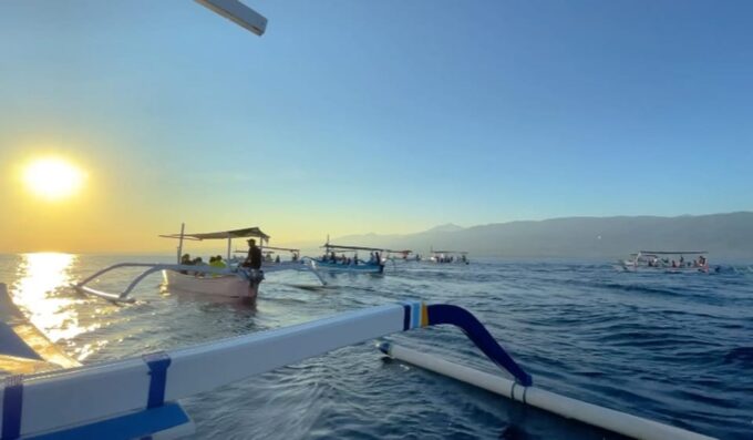 Lovina Dolphin Watching, Snorkeling and Swim With Dolphin - Frequently Asked Questions