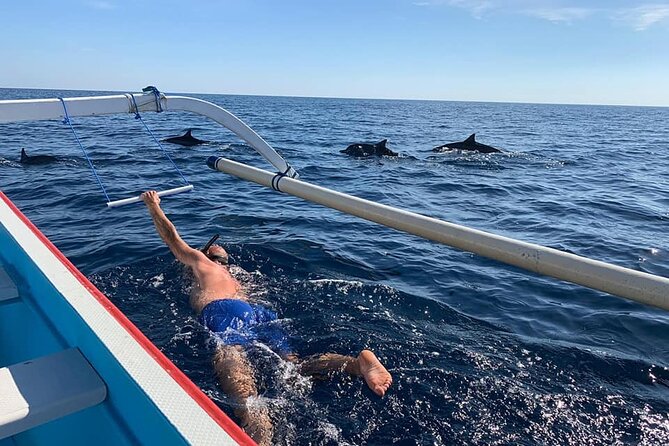 Lovina Dolphin Watching, Swimming, and Snorkeling Experience - Good To Know