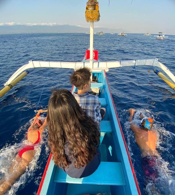 Lovina Dolphin Watching + Swimming With Dolphin Private Tour - Booking Details