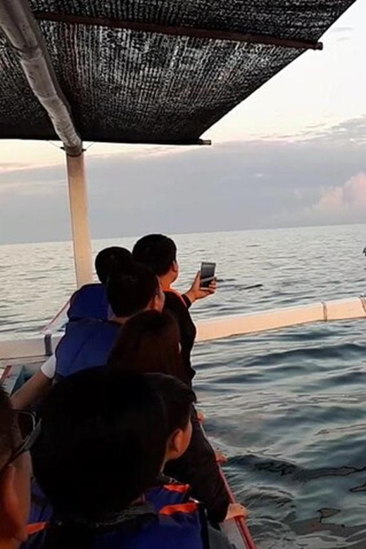 Lovina Dolphin Watching + Swimming With Dolphin Private Tour - Dolphin Watching Experience