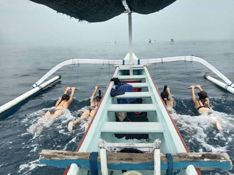 Lovina Dolphin Watching + Swimming With Dolphin Private Tour - Included Amenities