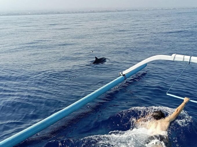 Lovina Dolphin Watching + Swimming With Dolphin Private Tour - Age Restrictions