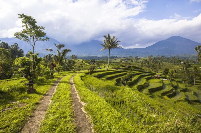 Lovina Dolphins: 2-Day Tour of Northern Bali With Spa - Frequently Asked Questions