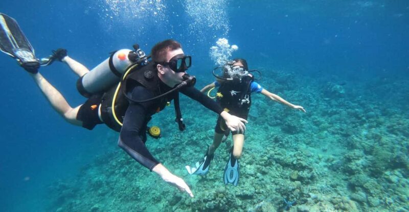 Lovina : Lovina Diving & Lovina Snorkeling Reef - Key Points