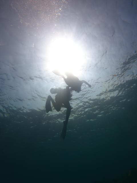 Lovina : Lovina Diving & Lovina Snorkeling Reef - Inclusions and Equipment