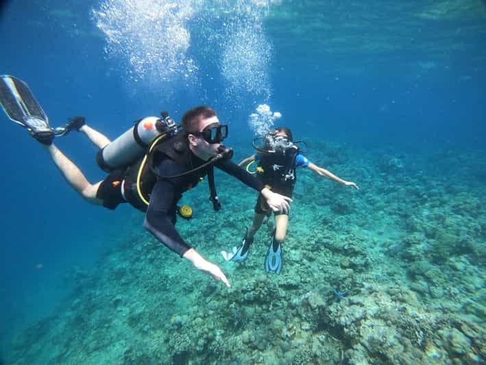 Lovina : Lovina Diving & Lovina Snorkeling Reef - Experience and Itinerary
