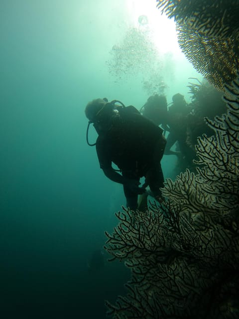 Lovina : Lovina Diving & Lovina Snorkeling Reef - Frequently Asked Questions