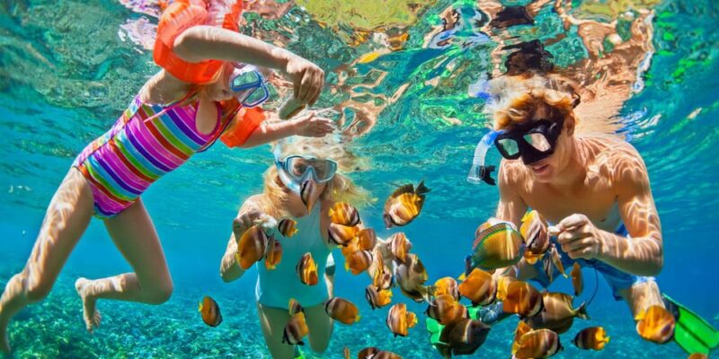 Lovina : Lovina Dolphin Tour and Lovina Snorkeling Reef - Tour Highlights