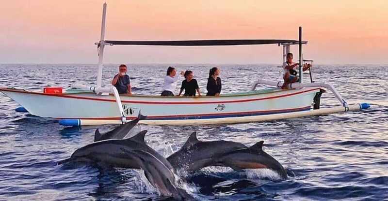 Lovina : Lovina Dolphin Watching and Snorkeling Lovina Reef - Pricing and Booking