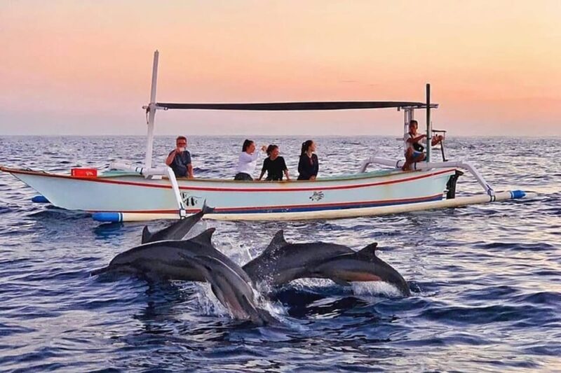 Lovina : Lovina Dolphin Watching and Snorkeling Lovina Reef - Dolphin Watching Experience