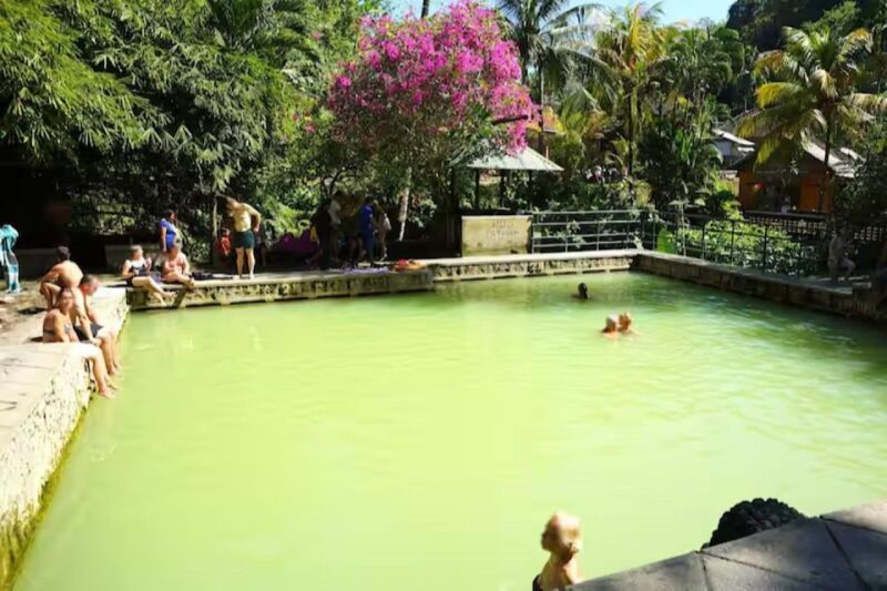 Lovina : Natural Holy Hot Spring & Sunrise Dolphins Tour - Included in the Tour