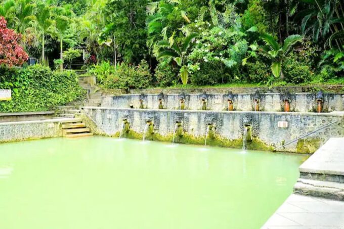 Lovina : Natural Holy Hot Spring & Sunrise Dolphins Tour - Customer Reviews