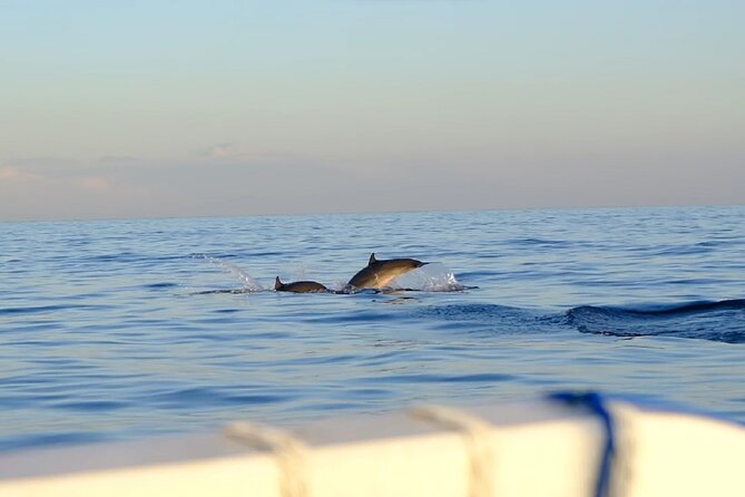 Lovina Sunrise Dolphin With Option Snorkeling and Waterfall - Highlights and Features