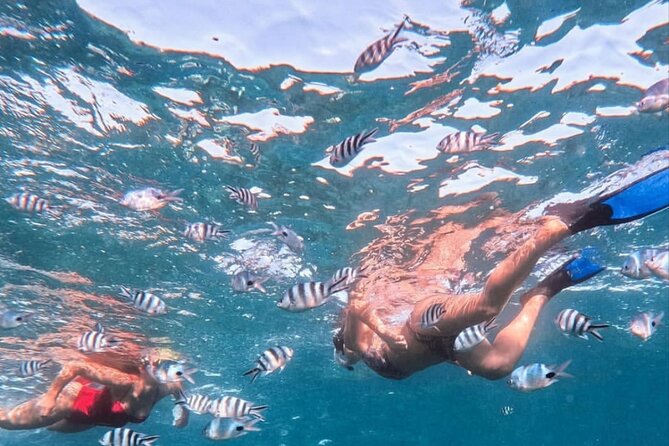 Lovina Sunrise Dolphin With Option Snorkeling and Waterfall - Accessibility and Fitness Level