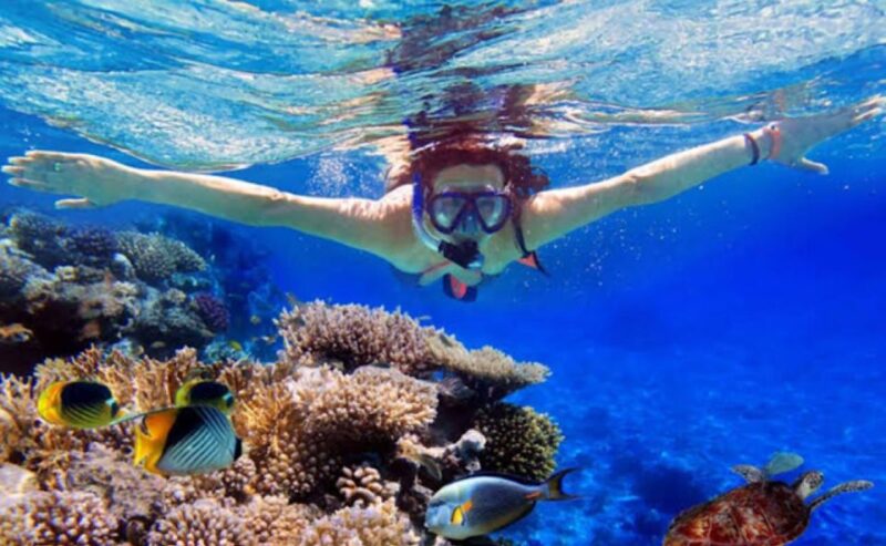 Lovina: Sunrises Dolphin Tour Snorkeling, Waterfall & Temple - Included Activities