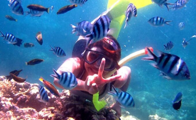 Lovina: Sunrises Dolphin Tour Snorkeling, Waterfall & Temple - Meeting Point