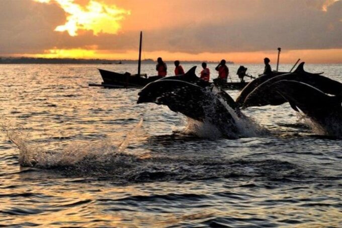 Lovina: Swim With Dolphins in Their Habitat - Packing Essentials