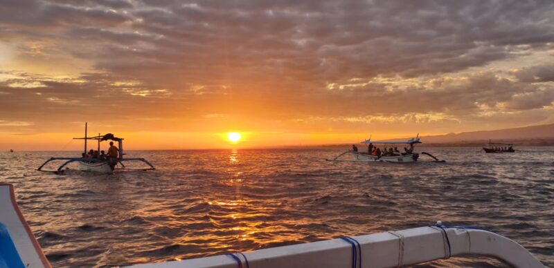 Lovina: Watching, Swimming With Dolphins & Coral Snorkeling - Key Points