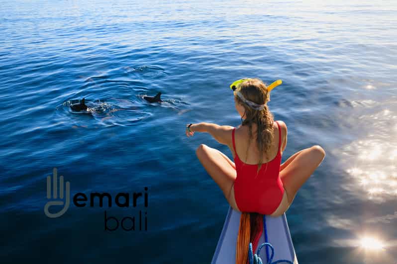 Lovina: Watching, Swimming With Dolphins & Coral Snorkeling - Pricing Details