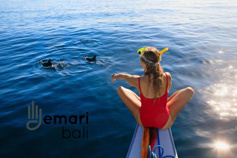 Lovina: Watching, Swimming With Dolphins & Coral Snorkeling - Itinerary Highlights