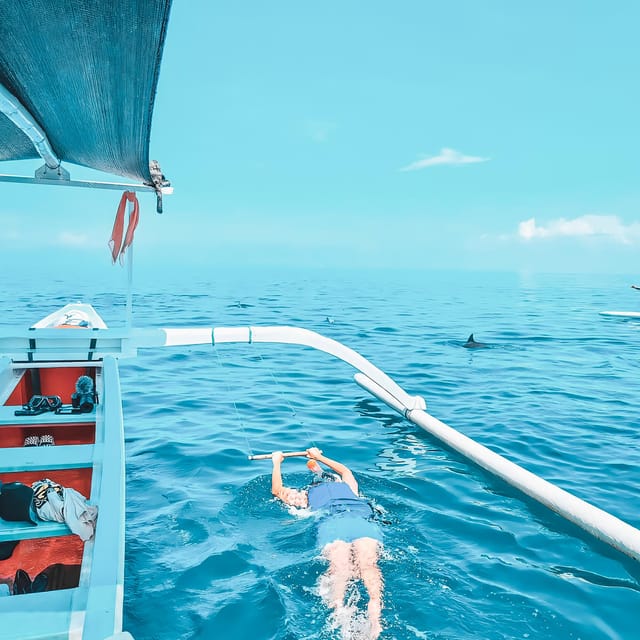 Lovina: Watching, Swimming With Dolphins & Coral Snorkeling - Included and Excluded