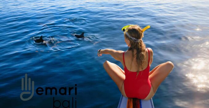 Lovina: Watching, Swimming With Dolphins & Coral Snorkeling - Important Notices