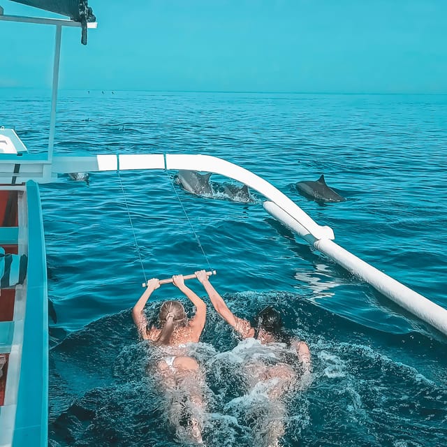 Lovina: Watching, Swimming With Dolphins & Coral Snorkeling - Customer Feedback