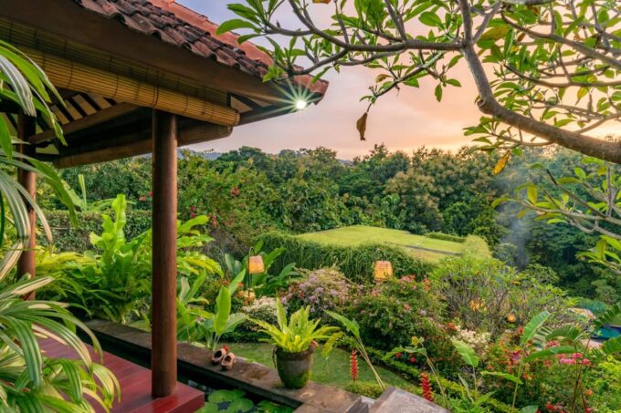 Lovina: Yoga & Massage - Customer Testimonials
