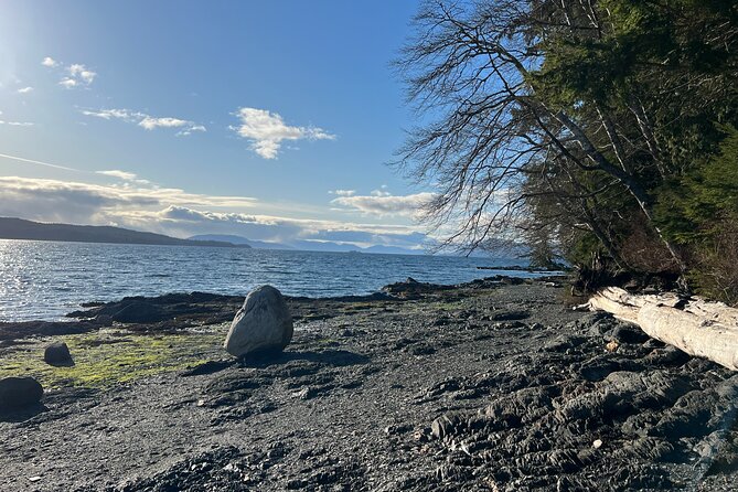 Low Tide Excursion & Beach Bonfire (w/ Totem Park Stop) - End Point