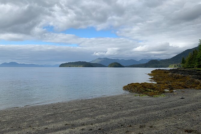 Low Tide Excursion & Beach Bonfire (w/ Totem Park Stop) - Ward Cove Pickup